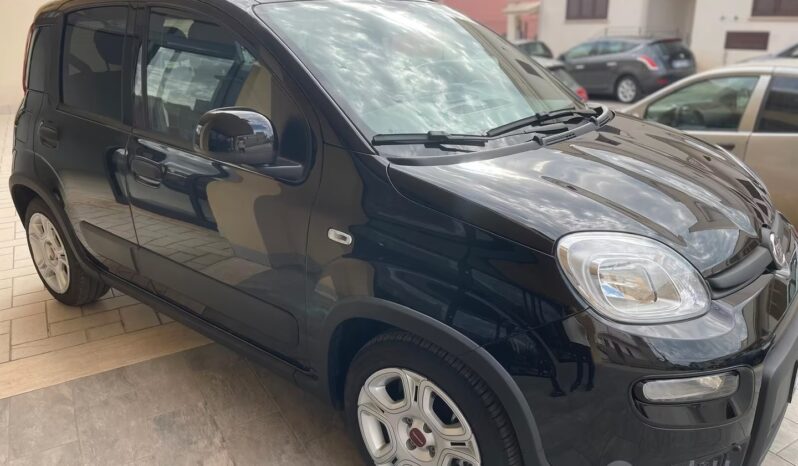 
								Fiat Panda 1.0 FireFly S&S Hybrid full									