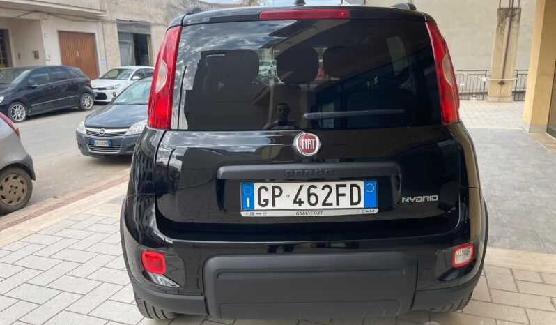 
								Fiat Panda 1.0 FireFly S&S Hybrid full									