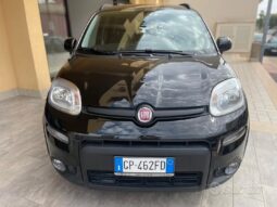 
										Fiat Panda 1.0 FireFly S&S Hybrid full									
