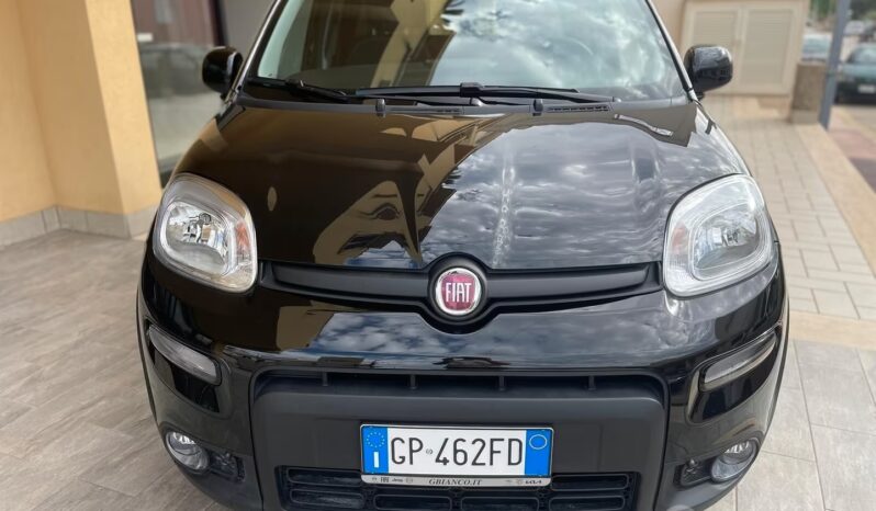 
								Fiat Panda 1.0 FireFly S&S Hybrid full									