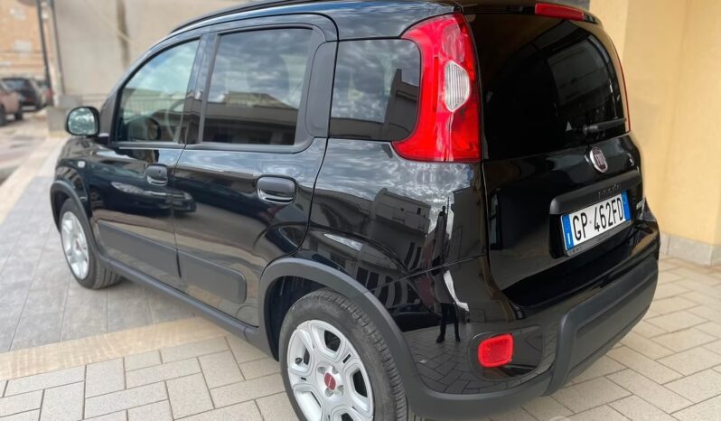 
								Fiat Panda 1.0 FireFly S&S Hybrid full									