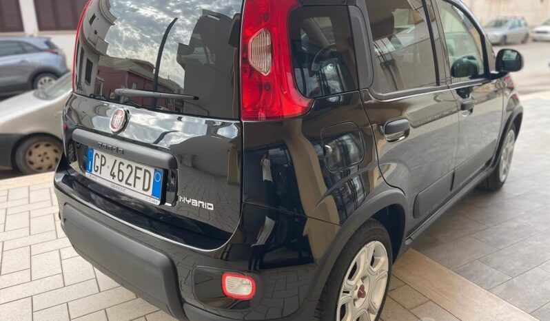 
								Fiat Panda 1.0 FireFly S&S Hybrid full									