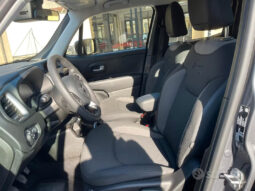
										Jeep Renegade 1.6 Mjt 130 CV Limited full									